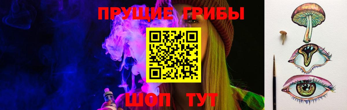 Галлюциногенные грибы Psilocybine cubensis  Псилоцибиновые грибы мухоморы  Ачхой-Мартан  Вход с VPN 
